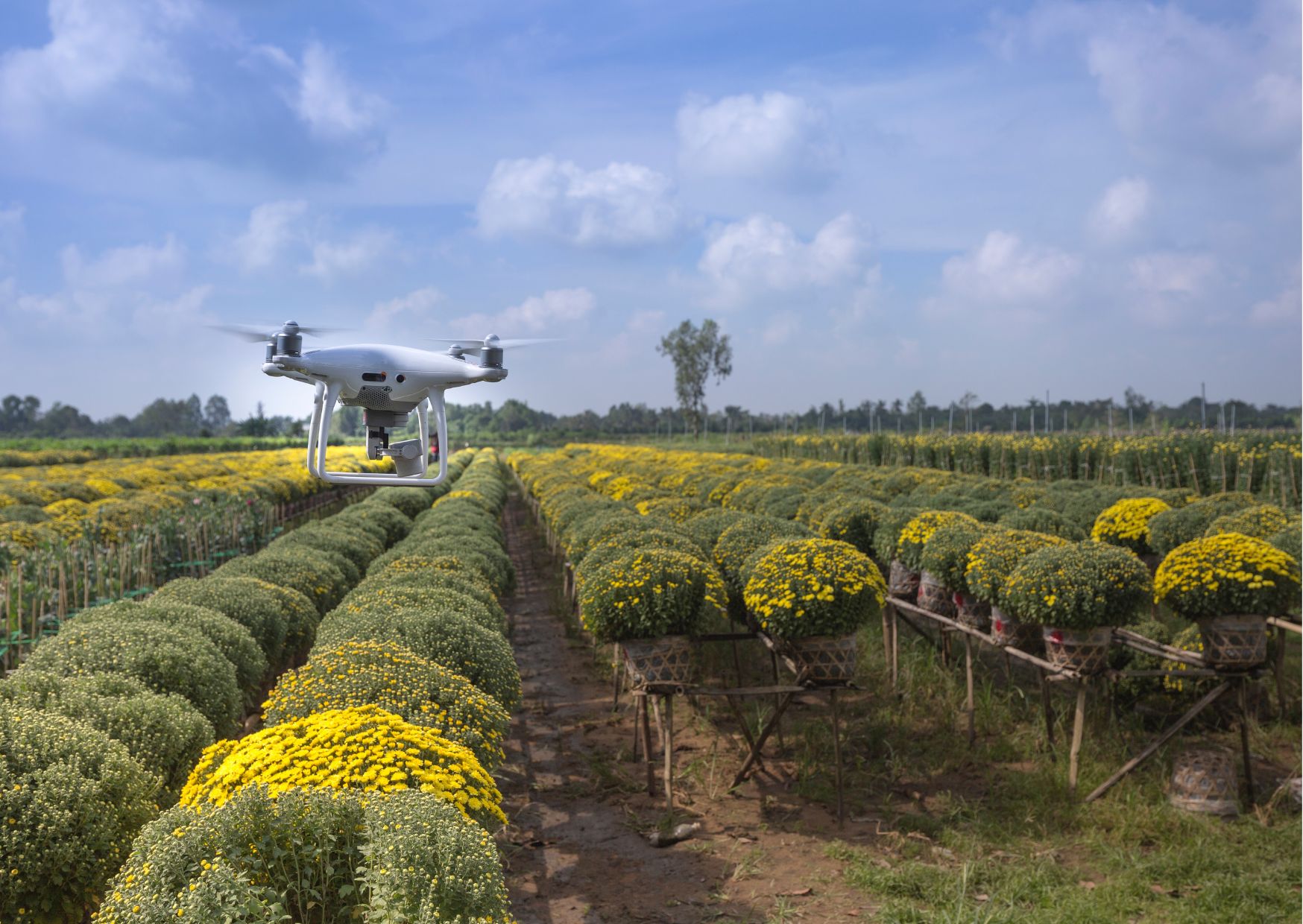 Drones senseFly